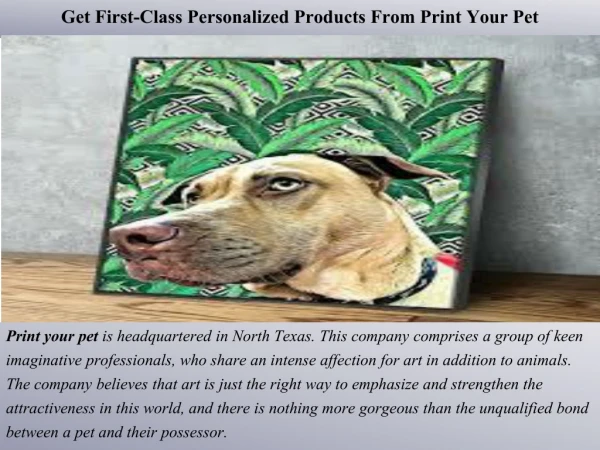 Get First-Class Personalized Products From Print Your Pet