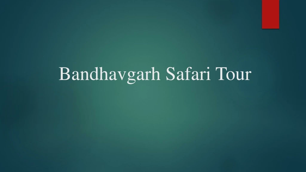 bandhavgarh safari tour