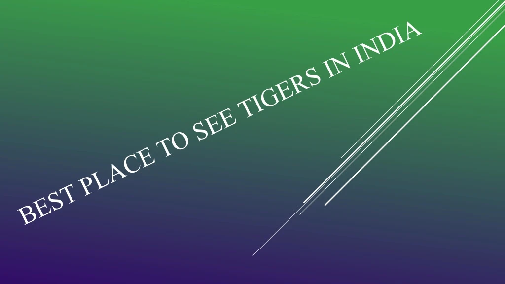 best place to see tigers in india