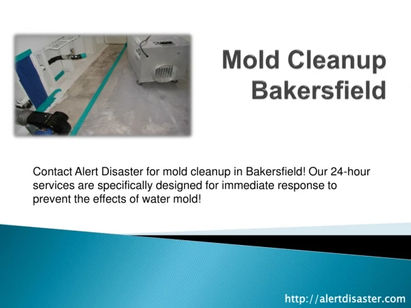 Mold Cleanup Bakersfield
