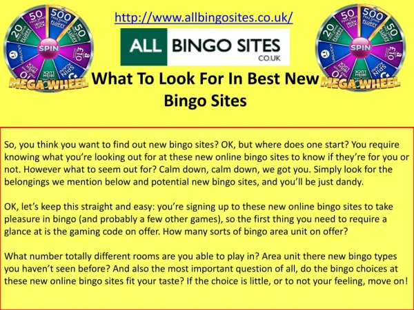 What To Look For In Best New Bingo Sites