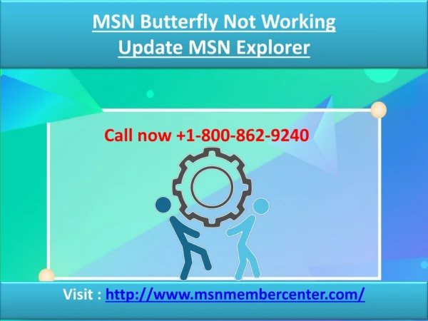 MSN Butterfly Not Working | 1-800-862-9240 | Update MSN Explorer