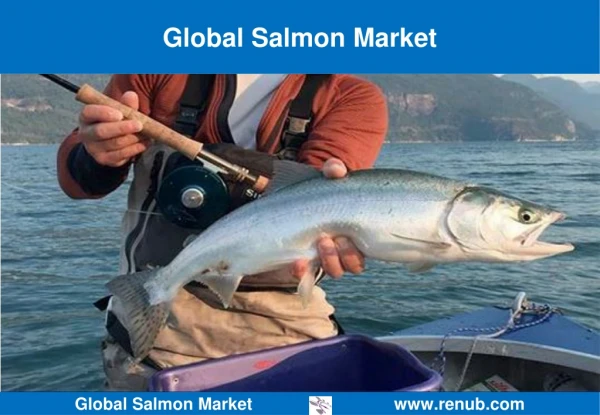 Global Salmon Market Forecast