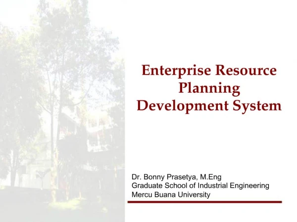Enterprise Resource Planning Development System