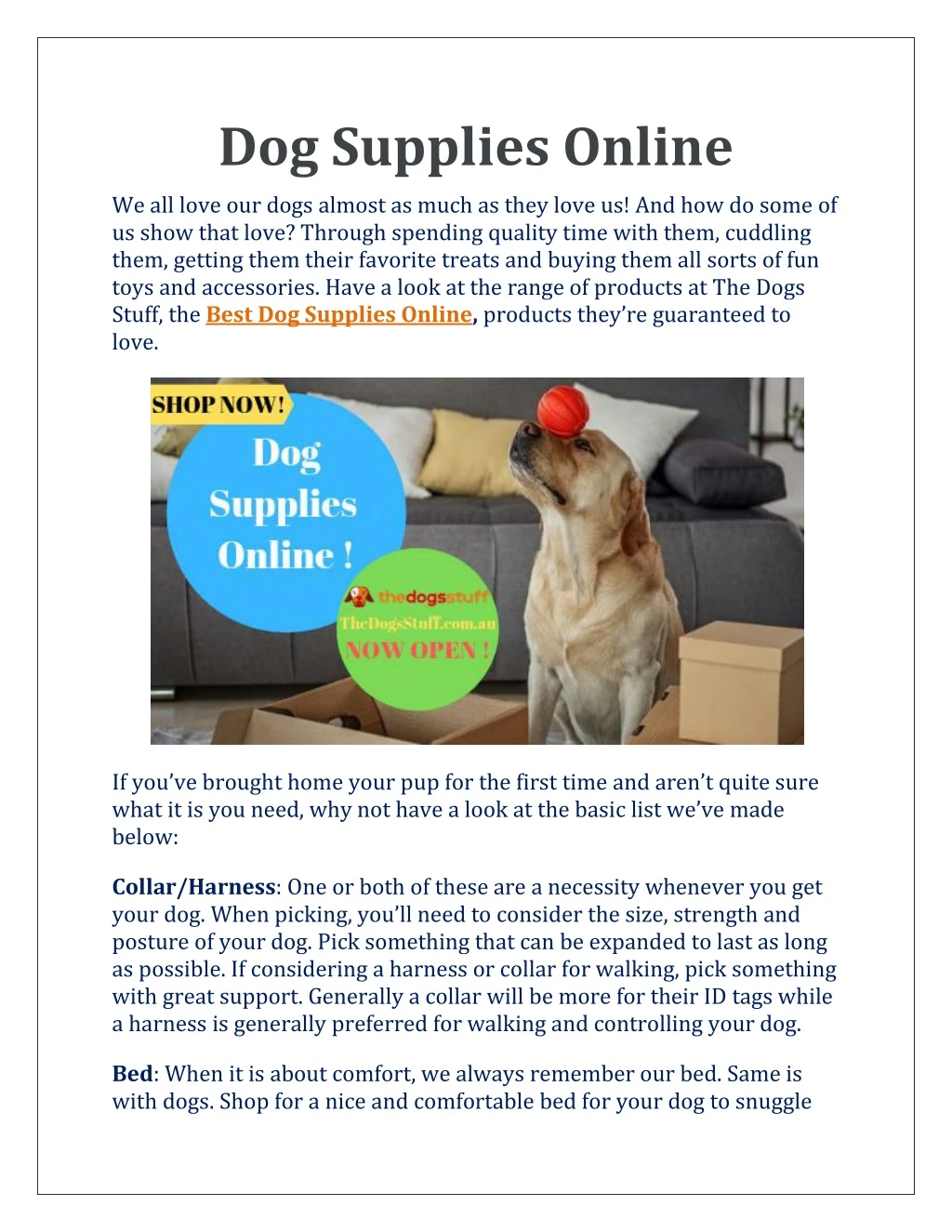 dog supplies online