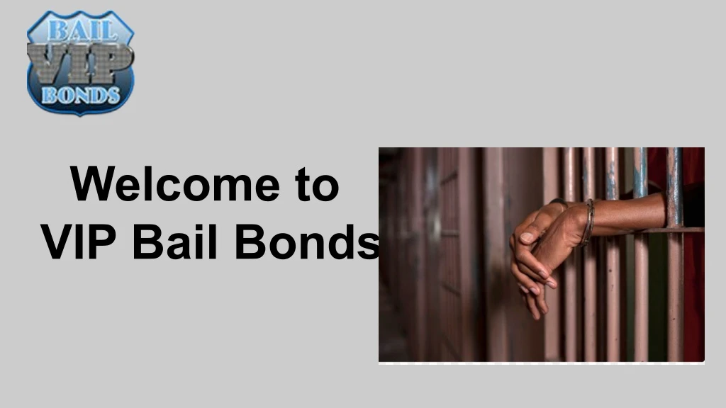 welcome to vip bail bonds