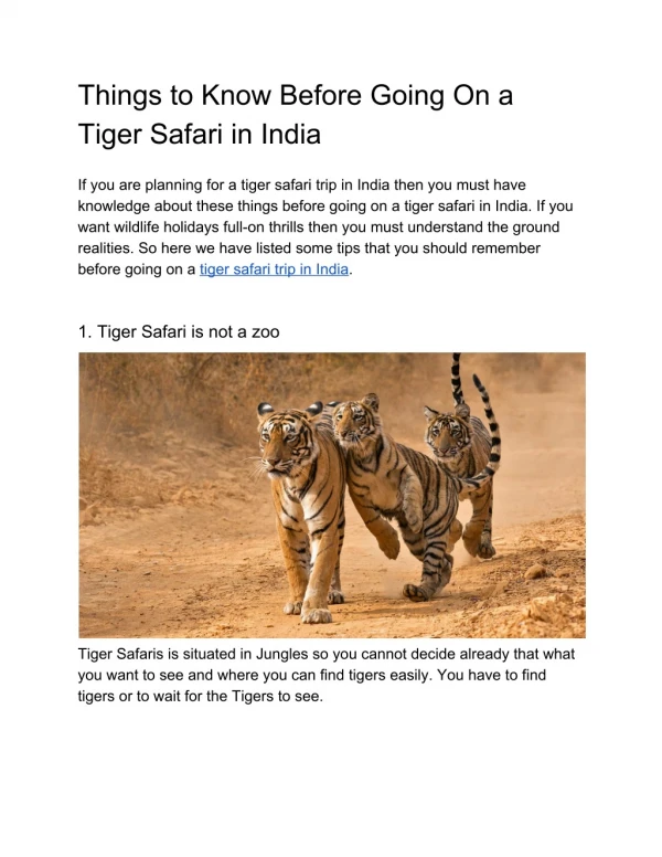 Things to Know Before Going on a Tiger Safari in India