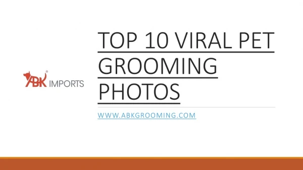 TOP 10 VIRAL PET GROOMING PHOTOS