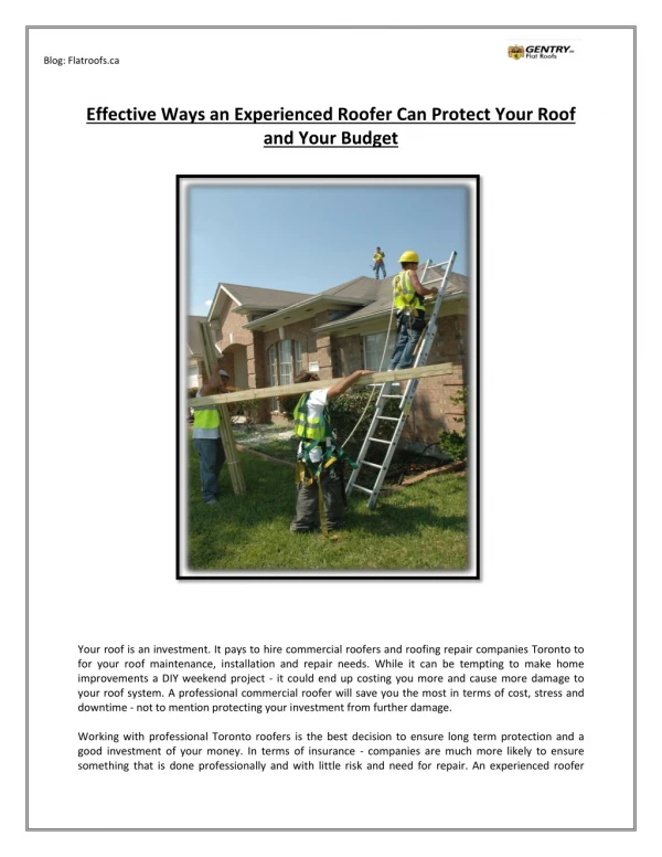 Effective Ways an Experienced Roofer Can Protect Your Roof and Your Budget
