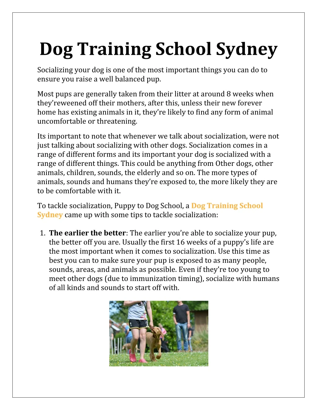 dog training school sydney