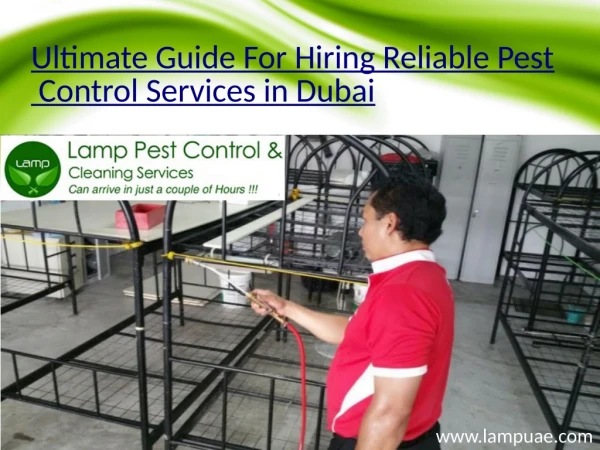 Ultimate Guide For Hiring Reliable Pest Control Services in Dubai