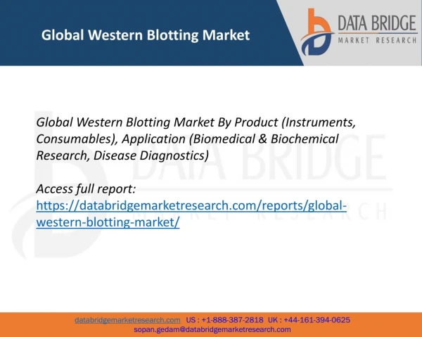 Global Western Blotting Market – Industry Trends and Forecast to 2024