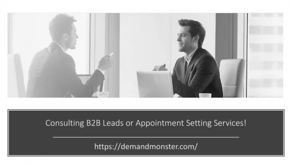 Guaranteed B2B Leads or Appointments for Consulting Firms!