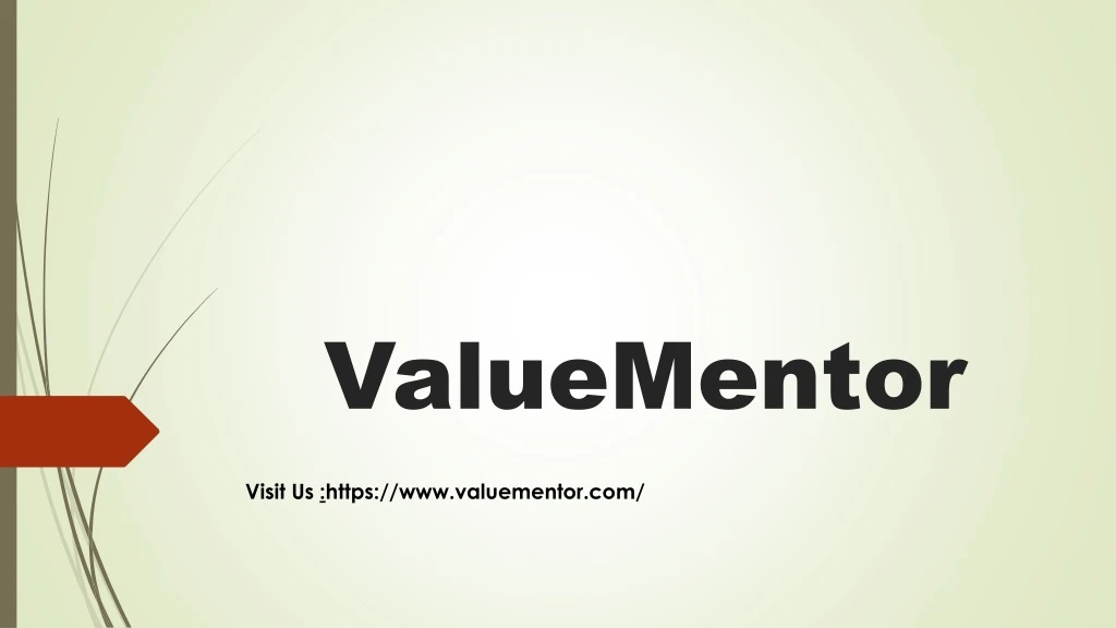 valuementor