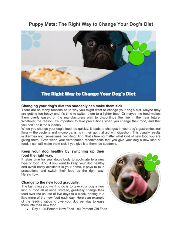 Puppy Mats: The Right Way to Change Your Dog’s Diet | Mednet Direct