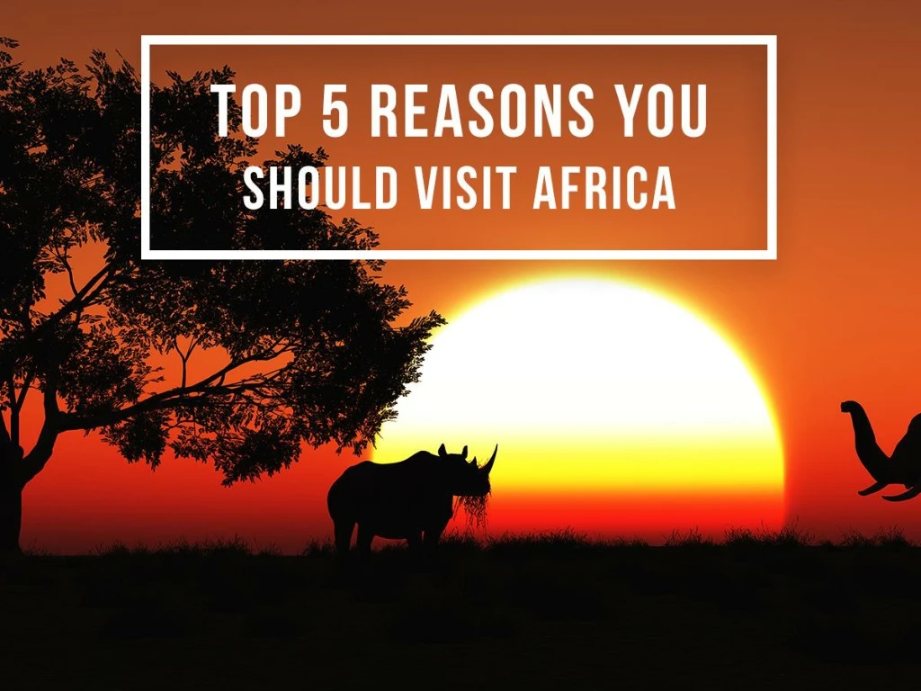 top 5 reasons you should visit africa