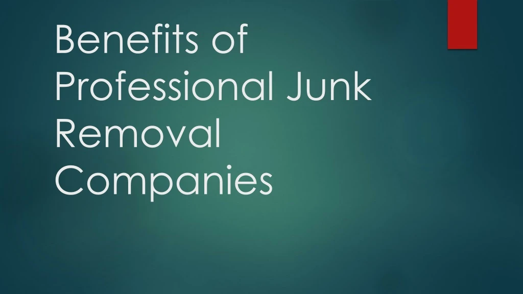 benefits of professional junk removal companies