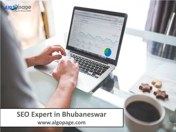 SEO Expert in Bhubaneswar - Algopage