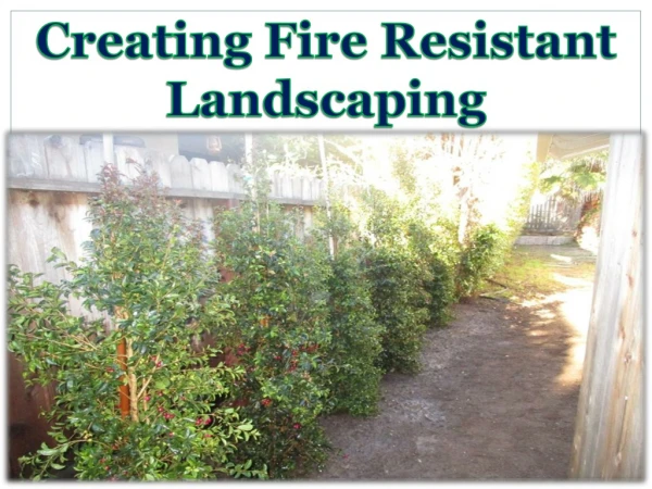 Creating Fire Resistant Landscaping