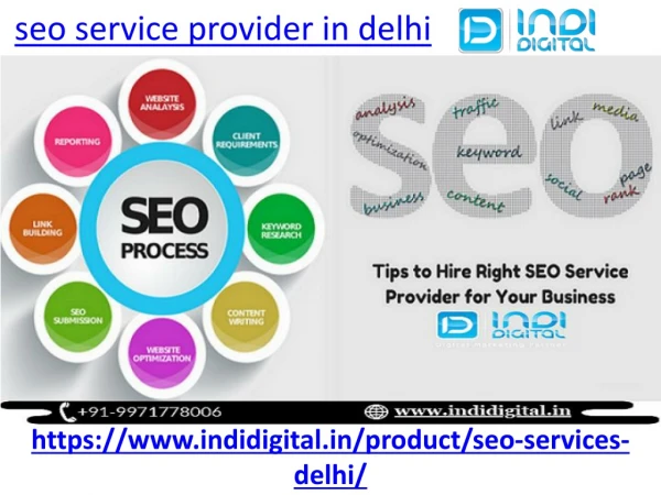 seo service provider in delhi
