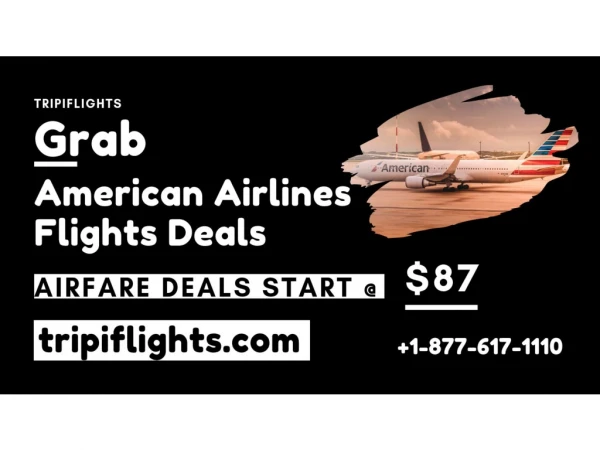 Book Cheap Flights to American Airlines Flights Deals - Check it Out!