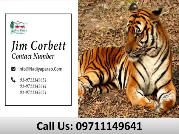 call us 09711149641
