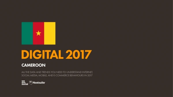 digital 2017 cameroon