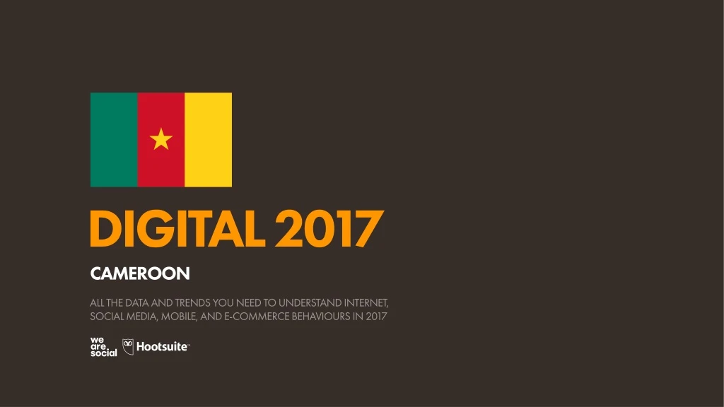 digital 2017 cameroon