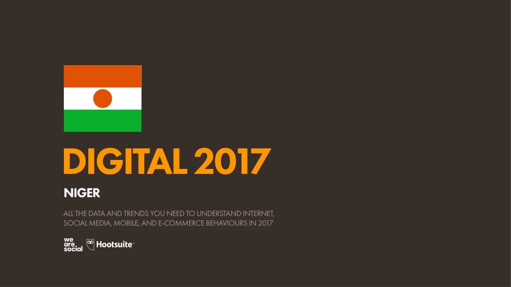 digital 2017 niger