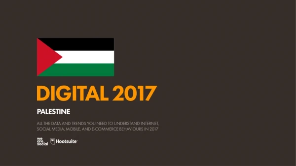 digital 2017 palestine