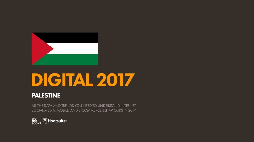 digital 2017 palestine