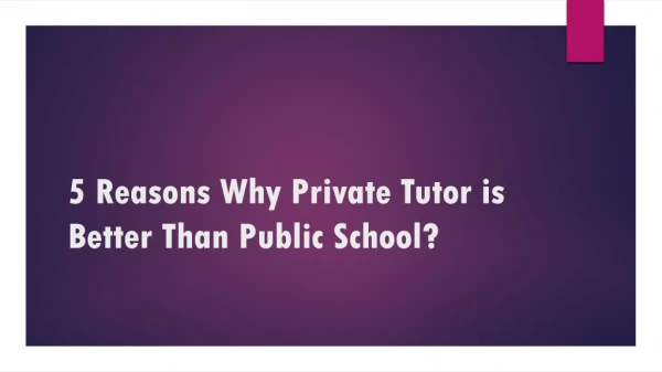 5 reasons why private tutor is better than public school