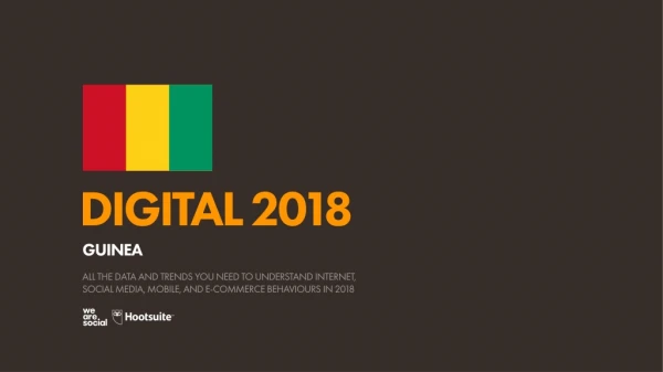 digital 2018 guinea