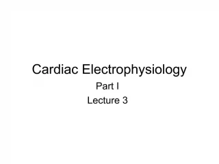 Cardiac Electrophysiology - slide 1