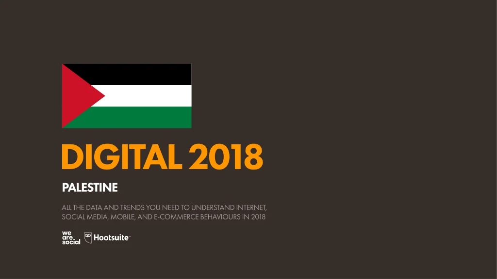 digital 2018 palestine