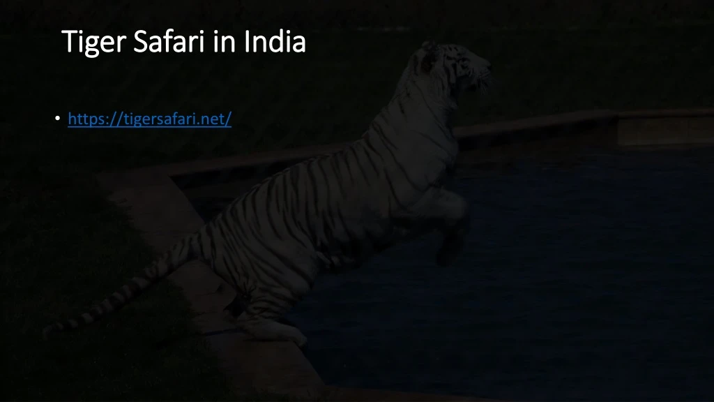 tiger safari in india