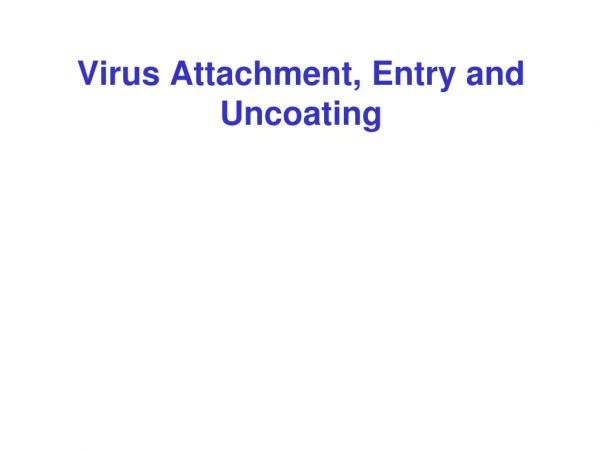 Virus Attachment, Entry and Uncoating