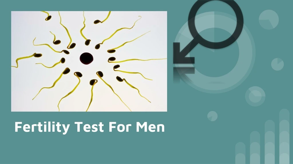 fertility test for men