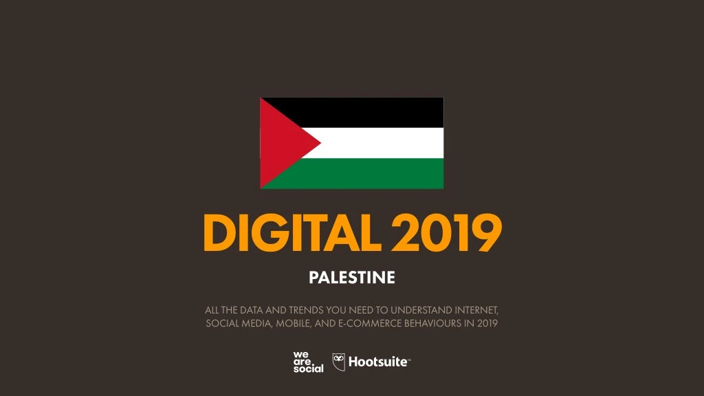 digital 2019 palestine
