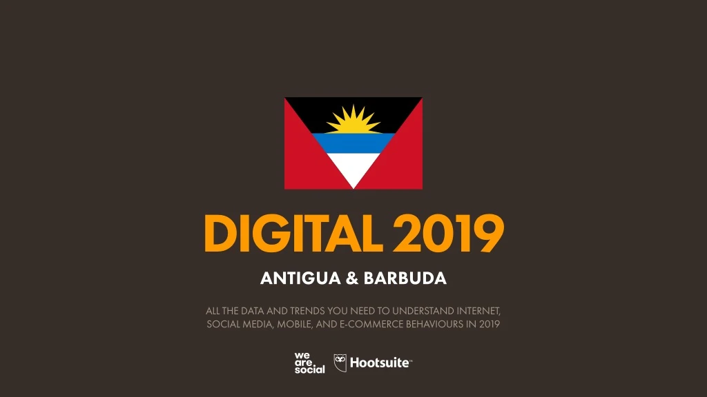 digital 2019 antigua barbuda