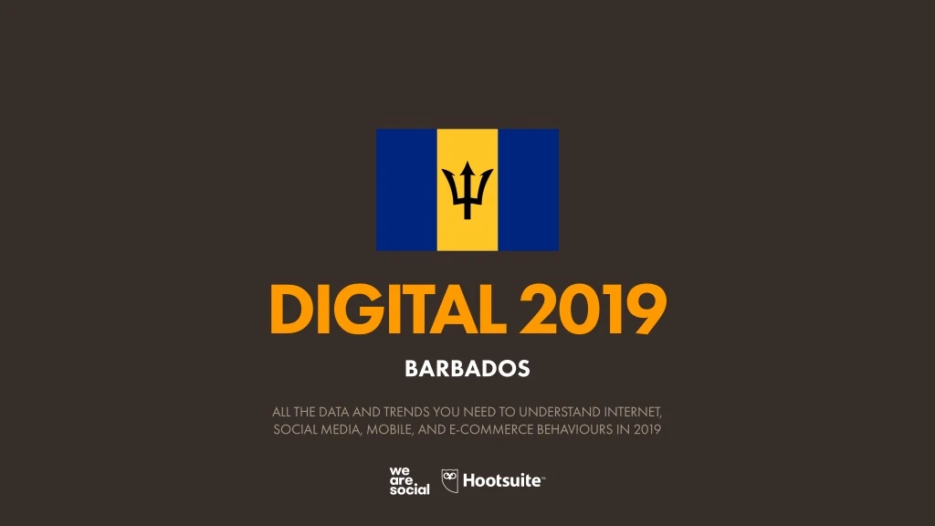 digital 2019 barbados