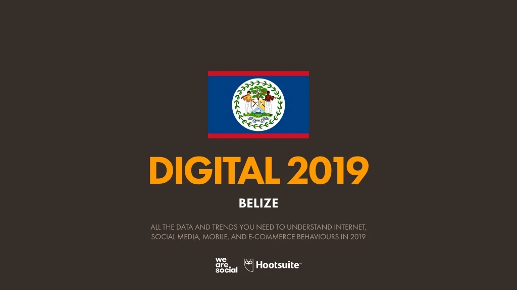 digital 2019 belize