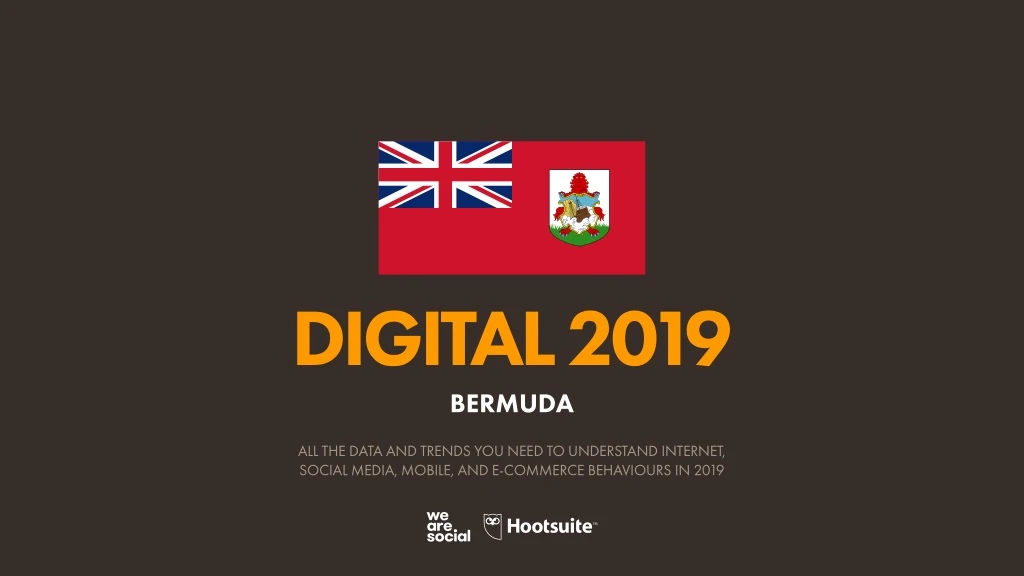 digital 2019 bermuda