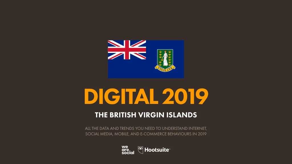 digital 2019 the british virgin islands