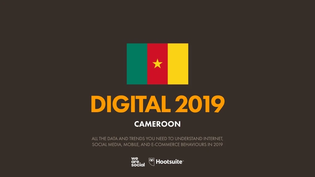 digital 2019 cameroon