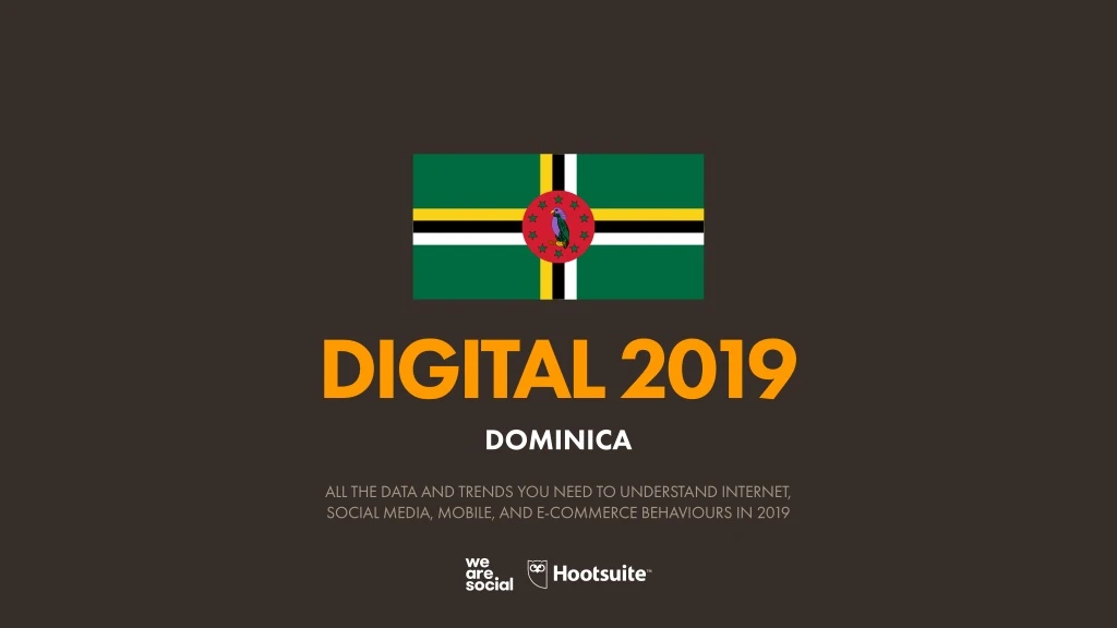 digital 2019 dominica