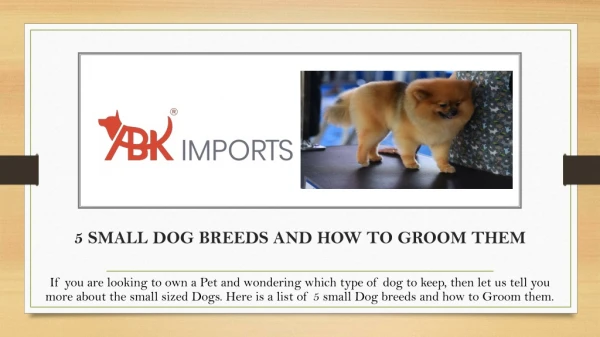 5 SMALL DOG BREEDS AND HOW TO GROOM THEM