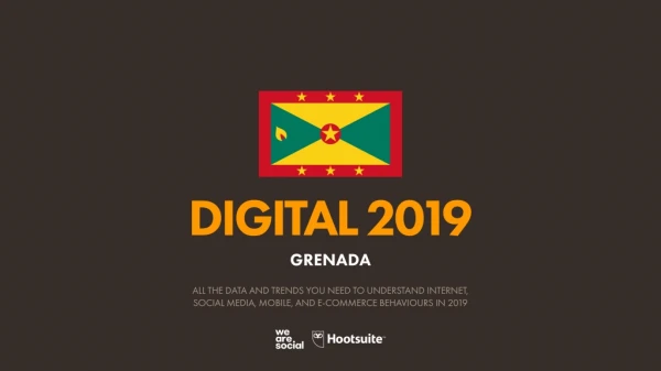digital 2019 grenada