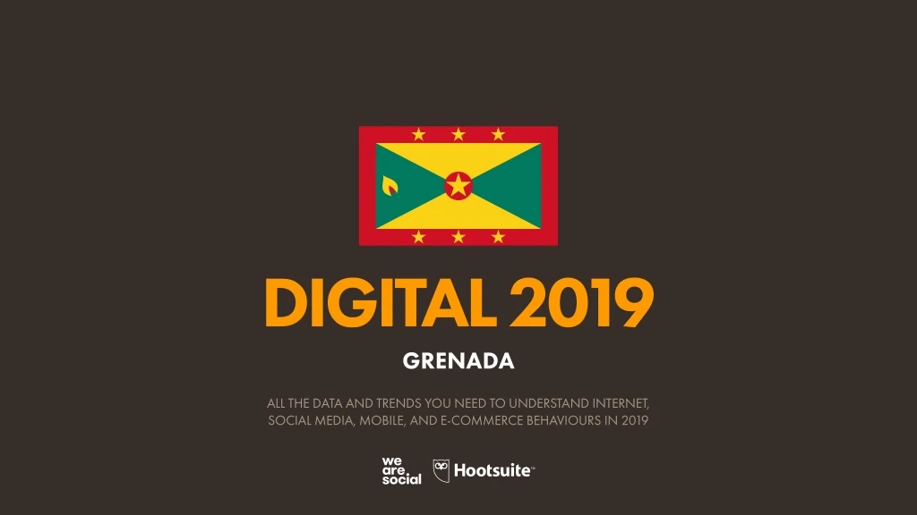 digital 2019 grenada