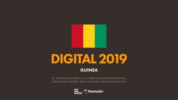 digital 2019 guinea